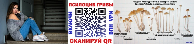 Псилоцибиновые грибы Cubensis  Арзамас 